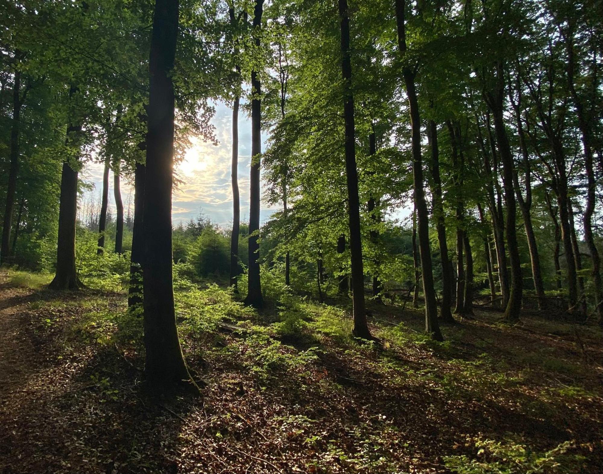 Frühstückspension Zur Krone Bad Endbach Exterior foto
